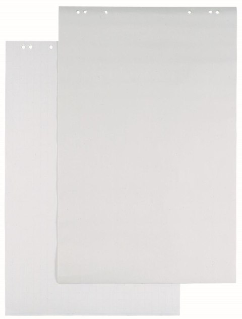 Blok Flipchart 20ar.(5) w kratkę 65 x 100 cm Biały 866802 DURABLE