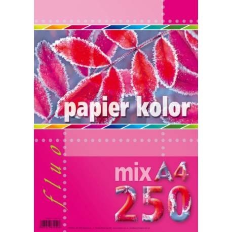 Papier kredowy A4 FLUO mix 5 kolorów (250 arkuszy)5kol KRESKA