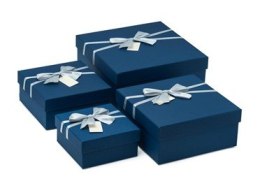 Zestaw pudełek HL-020-BLUE