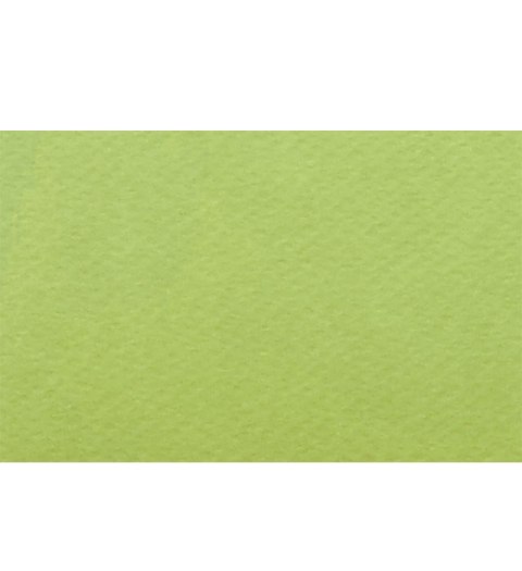 Papier A4 18 Pistacchio 220g, 1 50 arkuszy FIORELLO 150-1162