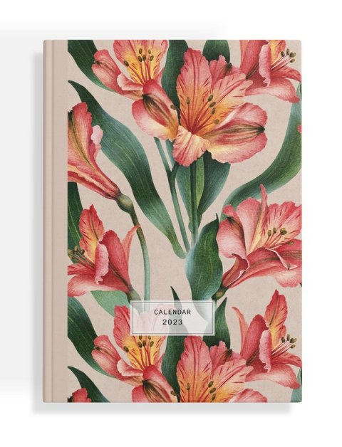 Kalendarz Top 2000 Universal 2023 A5 dzienny damski 400165180