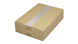 Karton typ 2 (310 x 220 x 75) STE-026-1 BIURFOL