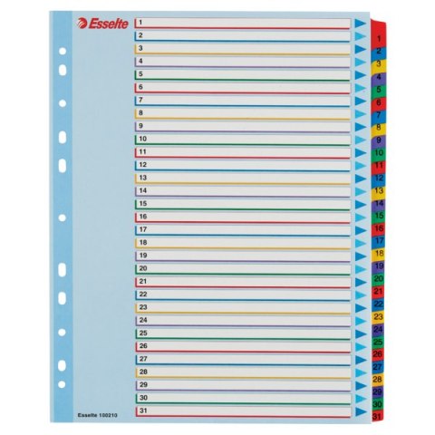 Przekładki kartonowe MYLAR A4 MAXI 1-31 ESSELTE 100210