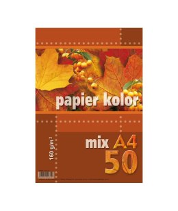 Papier kredowy A4 160g mix kolorów (50 arkuszy) KRESKA