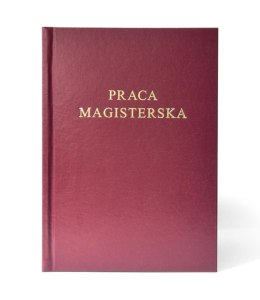 Okł.kanał.AA PRACA MAGISTERSKA bordo (10) ARGO 437017