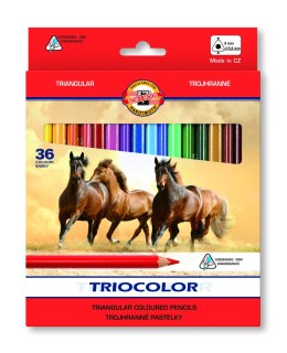 Kredki 36kol 9mm TRIOCOLOR 3145 KOH I NOOR (X)