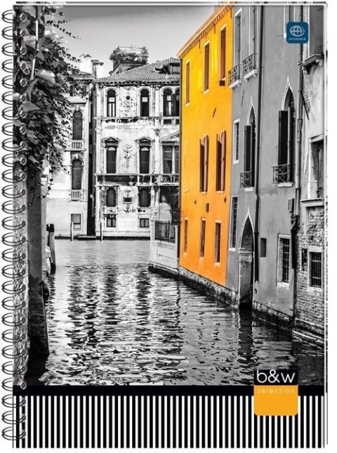 Kołobrulion A5 80k kratka z kolorowym marginesem INTERDRUK