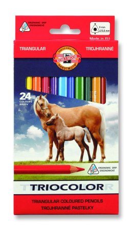 Kredki TRIOCOLOR 3144 24 kol $ KOH-I-NOOR