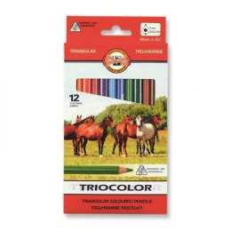 Kredki TRIOCOLOR 3142 12kolorowe $ KOH-I-NOOR