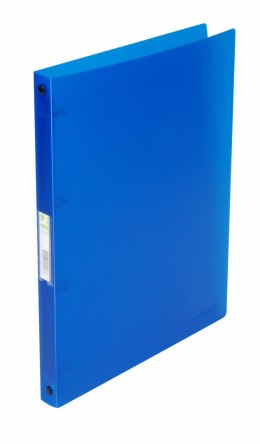 Segregator A4/4R/16 transparent.niebieski KF02918 320x250x22