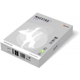 Pap.A4 160g szary 250a GR21 MAESTRO COLOR