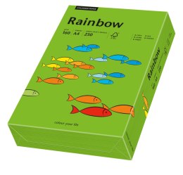 Papier A4/160g c.zielony R78 RAINBOW 88042681/