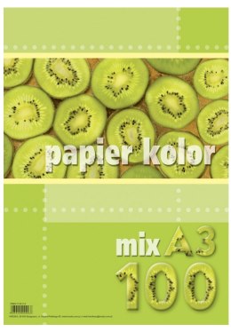 Papier xero A3 80g mix kolorów (100 arkuszy) KRESKA