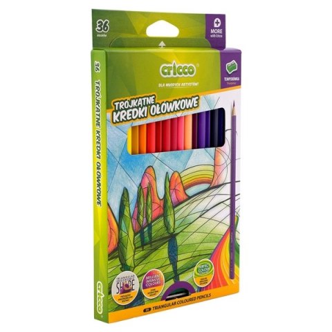 KREDKI CRICCO TRÓJKĄTNE 36-KOL. OP.KARTONOWE Z TEMPERÓWKĄ CR322K36 (X)